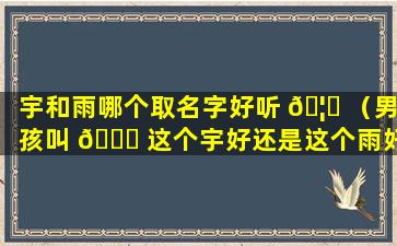 宇和雨哪个取名字好听 🦋 （男孩叫 🐛 这个宇好还是这个雨好）